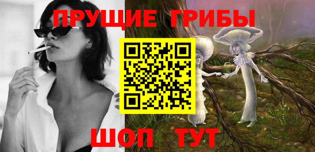 Галлюциногенные грибы Magic Shrooms  Вход с VPN  Тара 